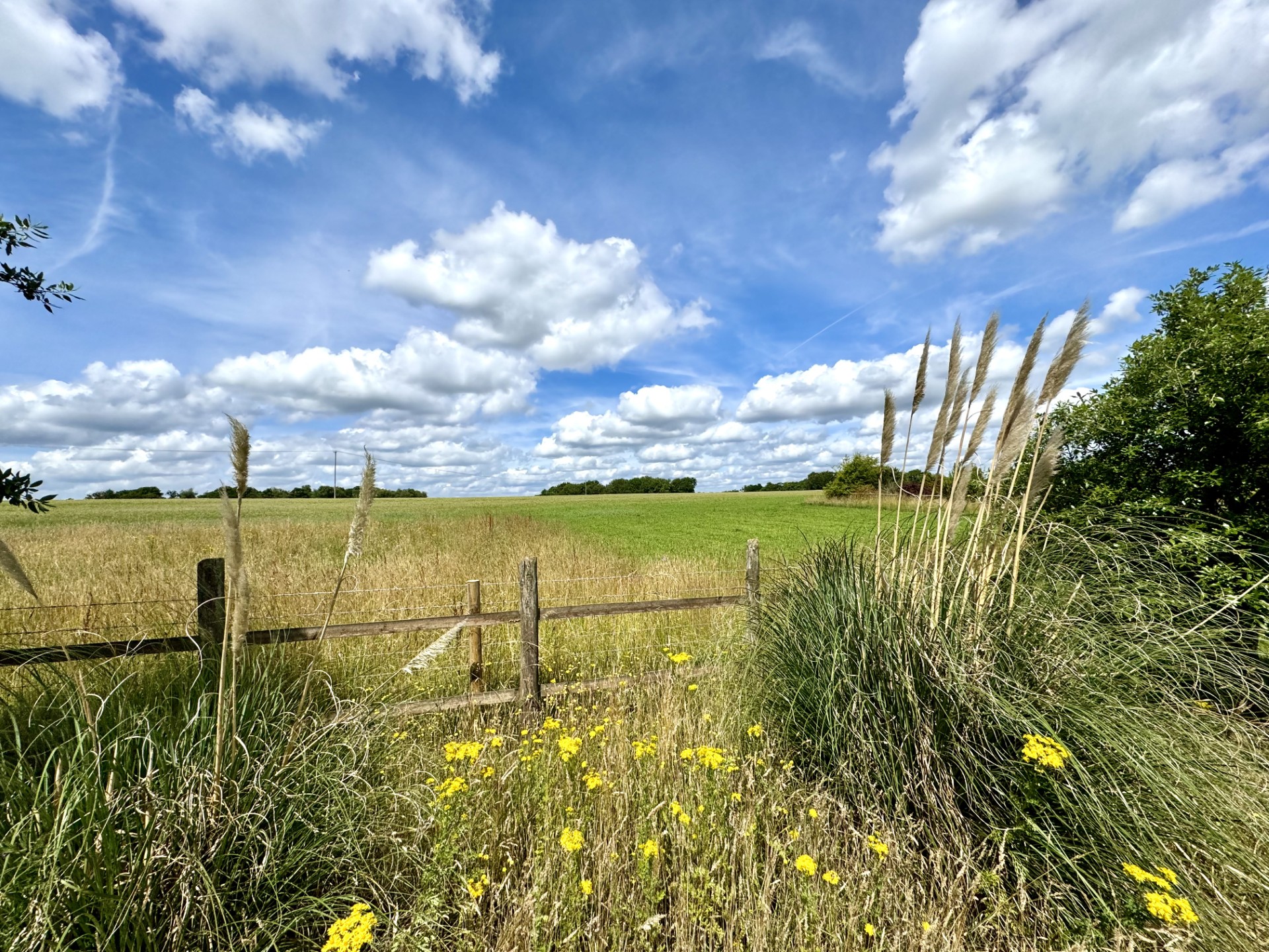 Images for West Green Road, Hartley Wintney